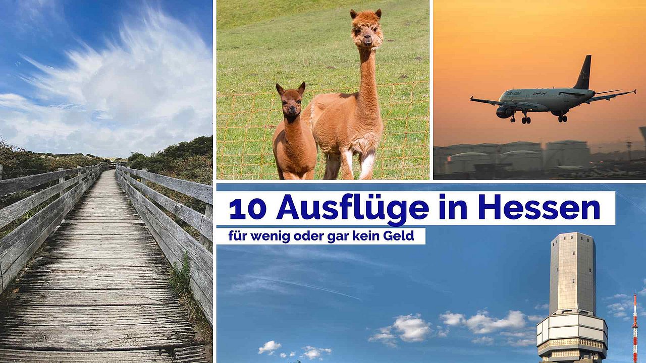 Eine Collage mit 4 Bildern: Schwanheimer Düne, Alpakas, Flugzeug und Feldberg. Darauf der Text: 10 Ausflüge in Hessen für wenig oder gar kein Geld