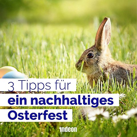 Nachhaltig und umweltfreundlich Ostern feiern.