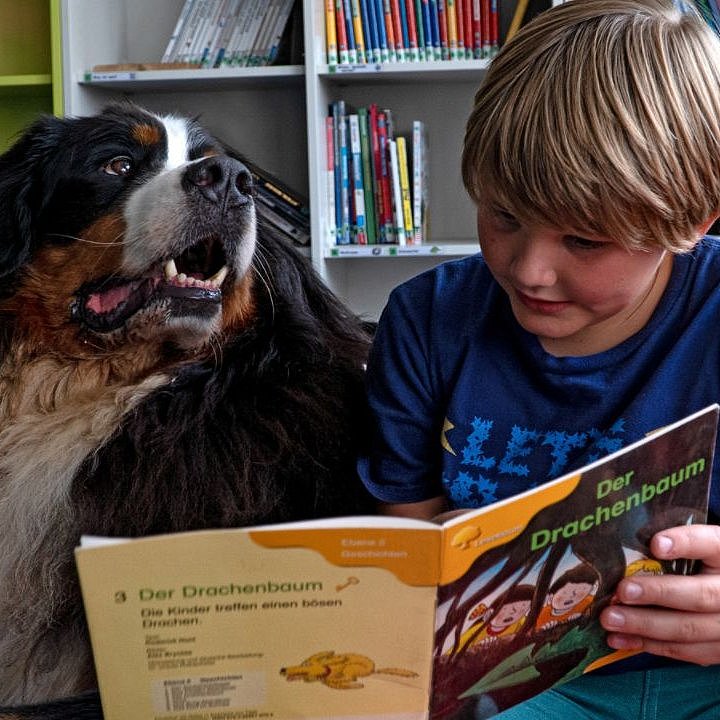 Ein Lesehund hilft Kindern beim Lesen Lernen