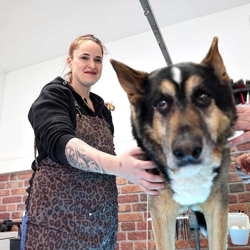 2 Frauen halten einen Hund, der zwischen den beiden auf einem Tisch steht